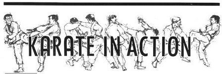 Karate in Action graphic